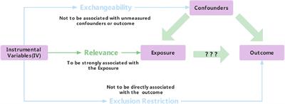 Unraveling the role of VLDL in the relationship between type 2 diabetes and coronary atherosclerosis: a Mendelian randomization analysis